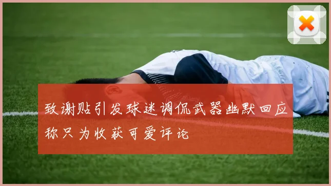 致谢贴引发球迷调侃武器幽默回应称只为收获可爱评论